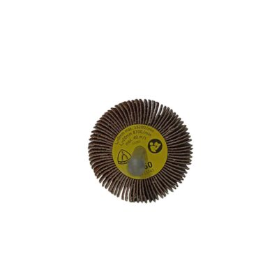 Punta Flap Klingspor 50 x 30 x 6mm G060 KM613 (61299)